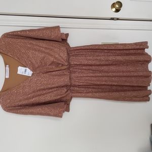 Bronze Dress mid length NWT